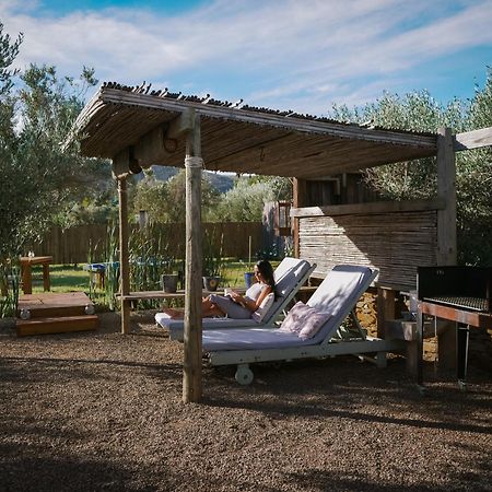 Olive Stone Farm Cottages Montagu Exterior photo