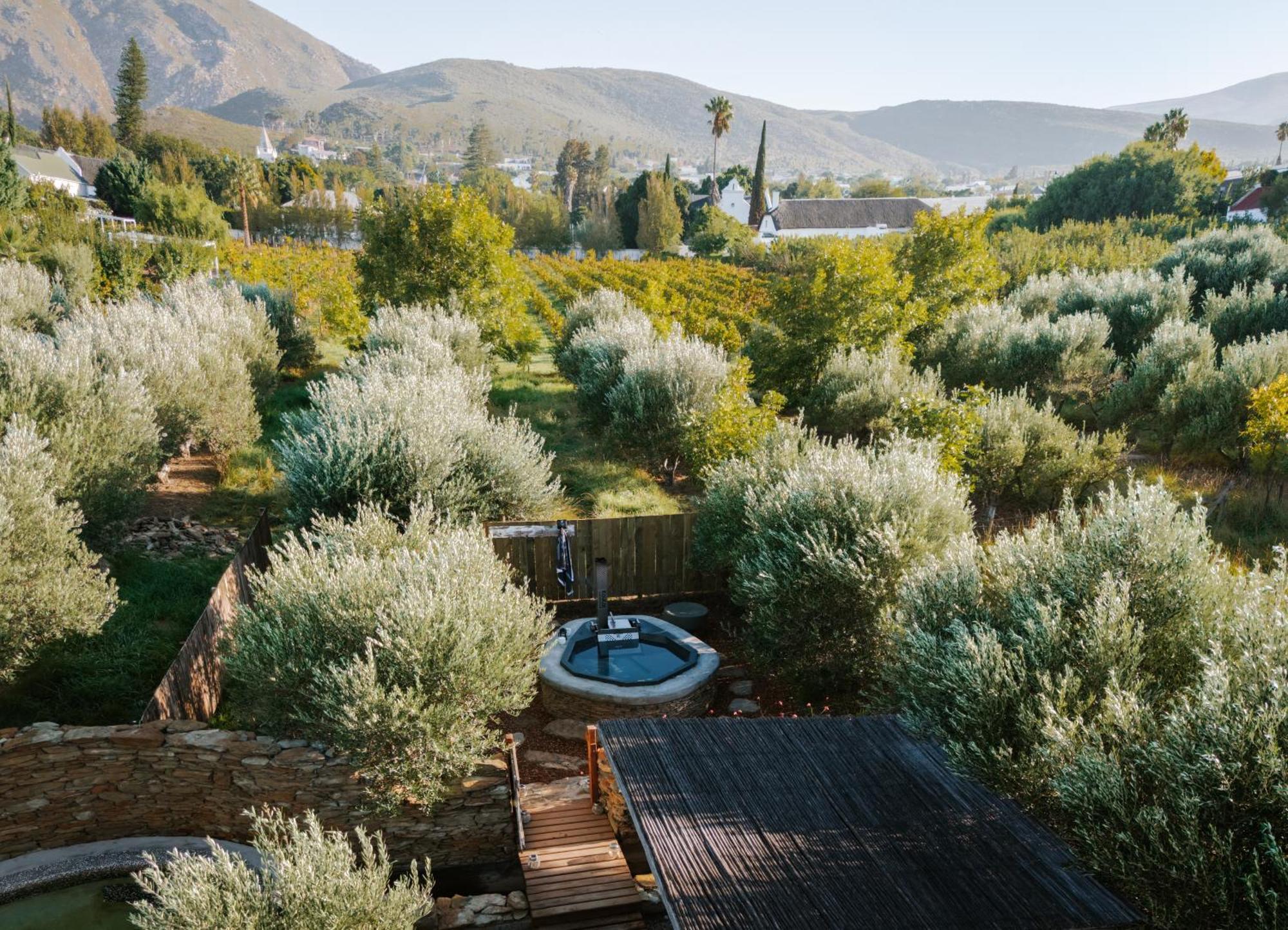 Olive Stone Farm Cottages Montagu Exterior photo